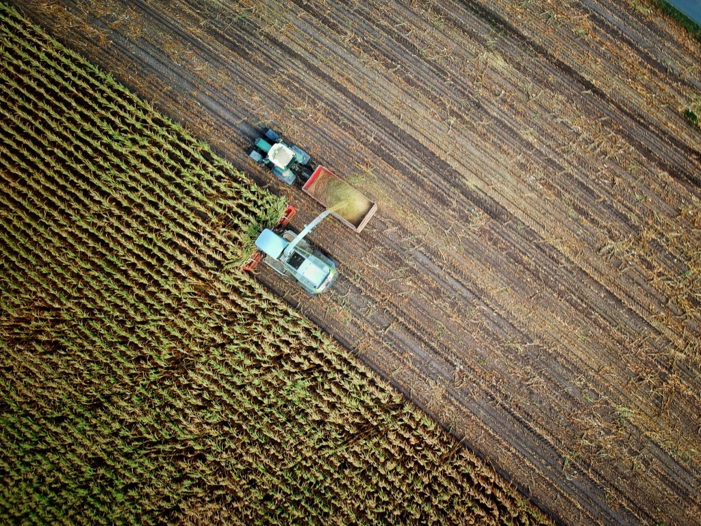 Agricolo